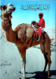 الابل العربية الاصيلة